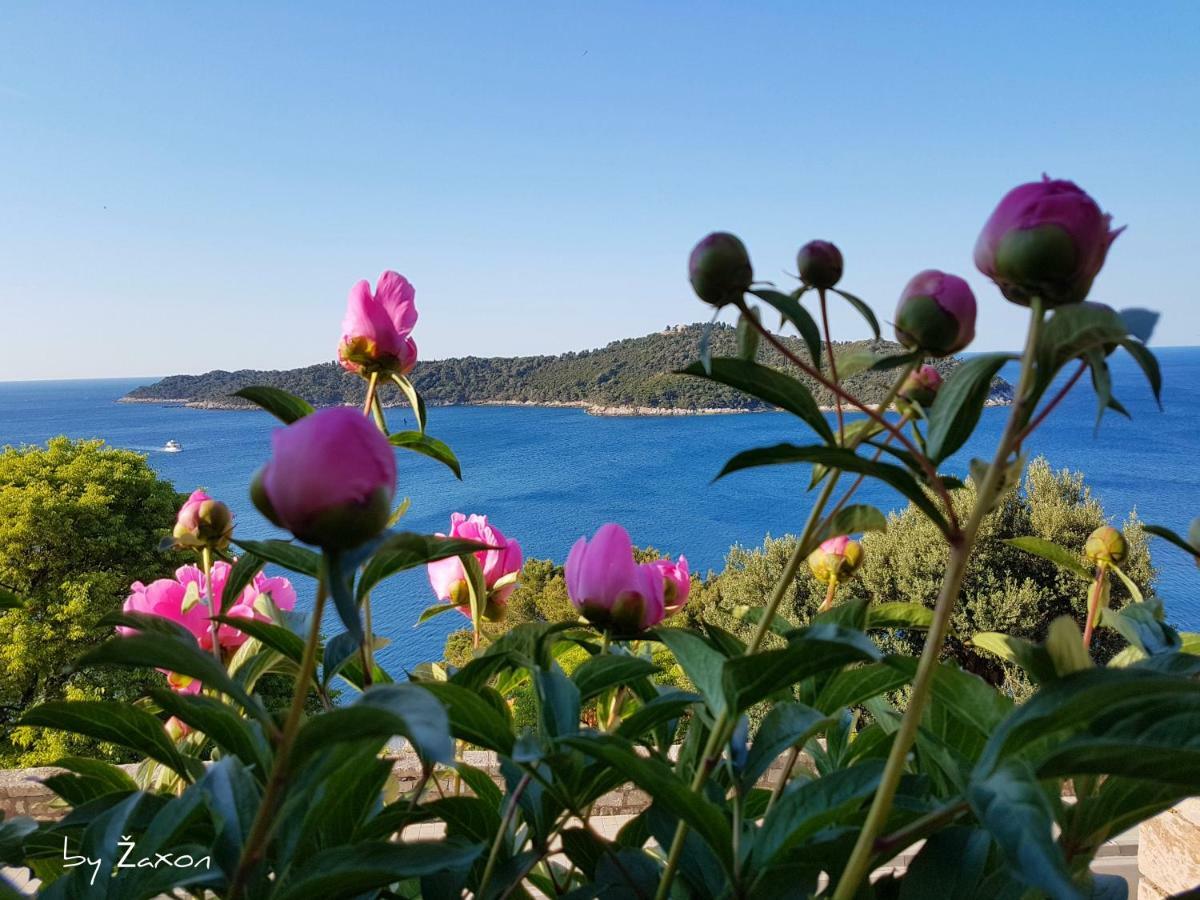 Apartments Sv.Jakov Dubrovník Exteriér fotografie